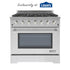 NXR LS Series Gas Range- Stainless Steel 6 German Sealed Burner with Convection Oven